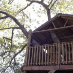 The Treehouse Greyton